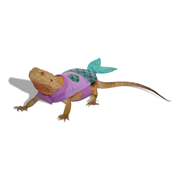 New Mermaid Reptile Pet Halloween Costume Bearded Dragon Small Pet - Picture 1 of 10